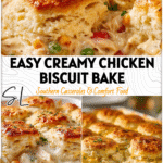 Baked Casserole With Canned Biscuits topped with golden crust over creamy chicken filling.